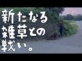 第88話 前途多難。新たな雑草対策を始める。&竹屋敷に住む男のある夏の一日。【CAT HOUSE DIY】