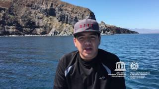 Leonardo #MyOceanPledge Islands and Protected Areas of the Gulf of California