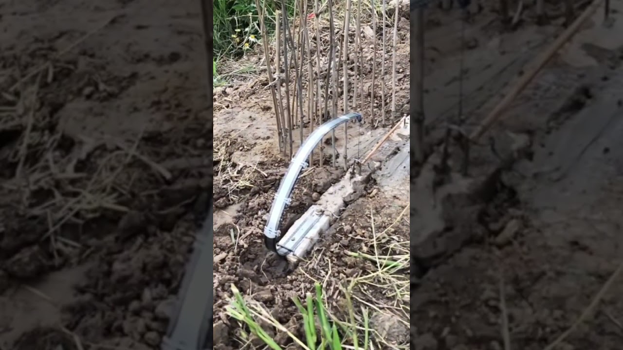 🐦‍⬛️🐦‍⬛️🌿Create DIY Quail Trap. 