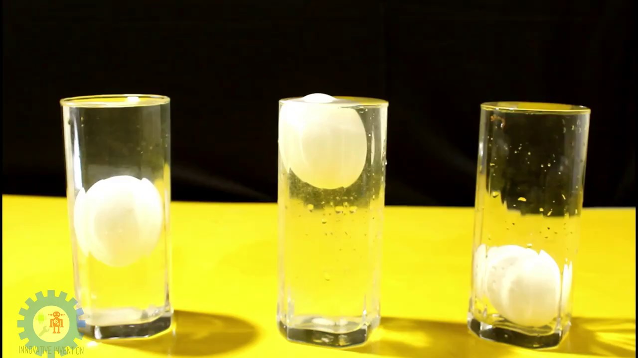 Water Density Experiment with egg Must Watch YouTube