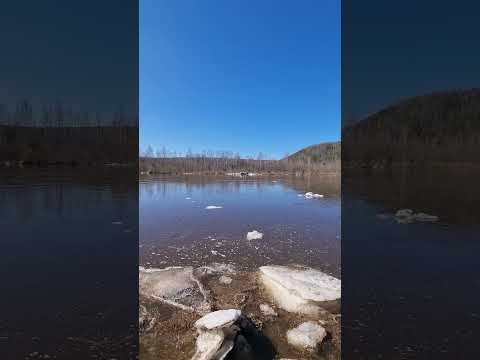 Видео: Чусовая