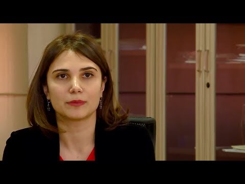 გერმანიასა და ავსტრიაში ვიზიტის შეჯამება