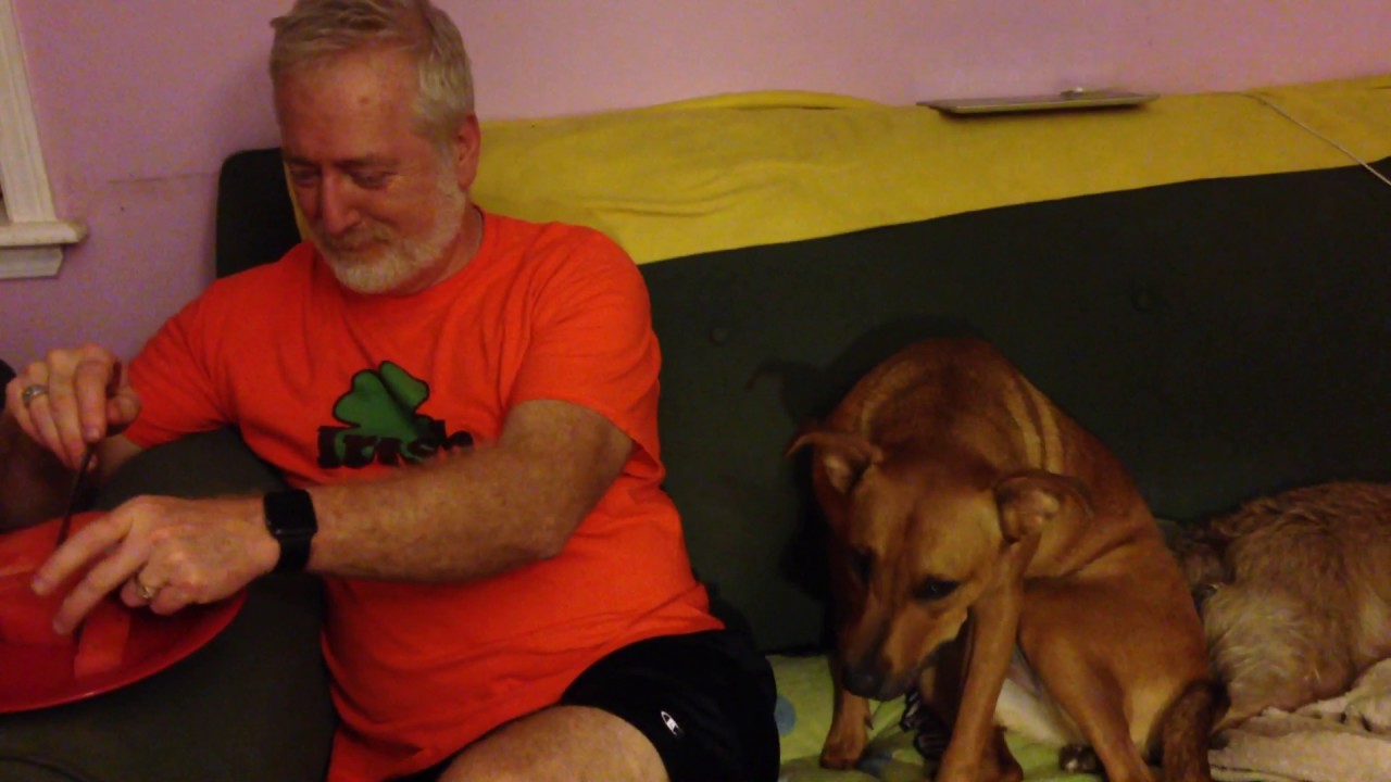 camera iphone 8 plus apk Richard and Gracie eating watermelon.