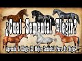 Guía Para Elegir SEMENTAL Para Tu YEGUA🐴-Del Cerro Soy