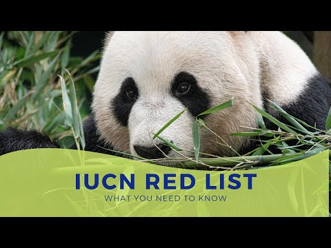 Iucn Red Data List - What Is Red Data Book Of Species