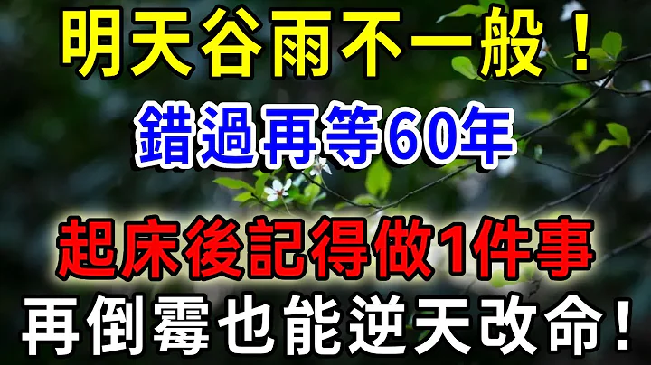 真的要来了！就在明天，3月初十谷雨不一般！起床记得做一件事，再倒霉也能逆天改命！龙年财运旺旺旺，错过再等60年，赶紧告诉家里人！|一禅语 #运势 #风水 #佛教 #生肖 #佛语禅心 - 天天要闻