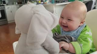 Vaughn with Flappy the Elephant. #FlappytheElephant - 1033782 screenshot 1