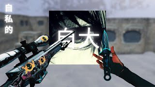 aimmaxxing (awp)
