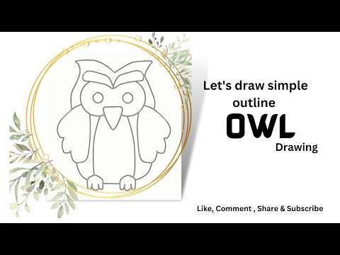 Line style owl bird hand drawn illustration Stock Vector Image & Art - Alamy