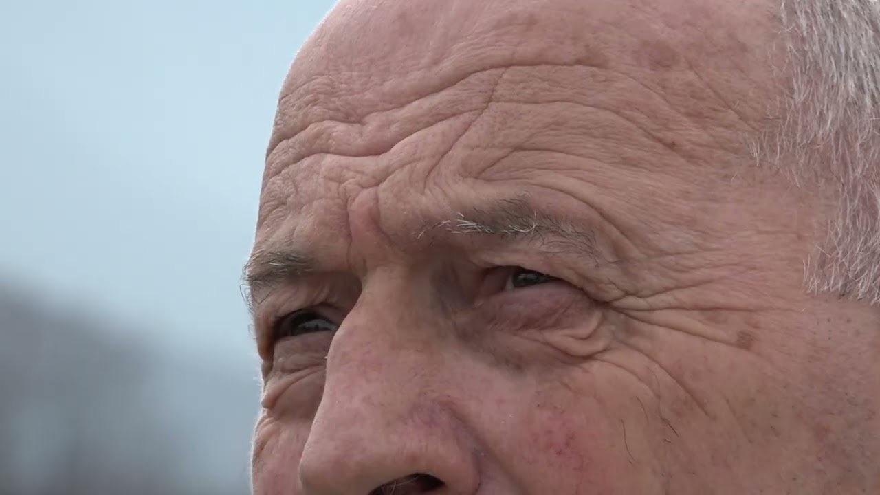 VIJESTI U POLA 7 -  POTKORNJACI UNIŠTAVAJU PLAVSKE ŠUME | Vijesti online