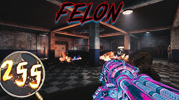 Bo3 Custom Zombies Felon Round 145-151 Flawless Game Crash ...