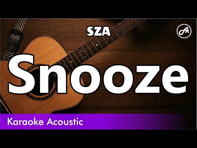 SZA - Snooze (SLOW karaoke acoustic) class=