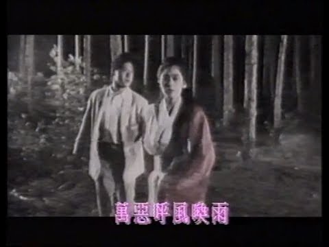 張學友 關淑怡 - 年少無情 MV