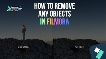 How To Remove Any Objects On Filmora 13