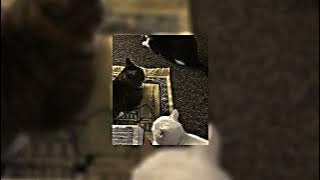 barakallah by maher zain (sped up) vocals only