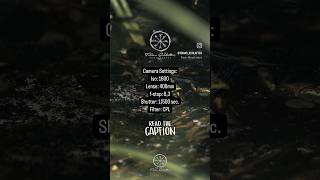 Day 212 Read The Pinned Comment.