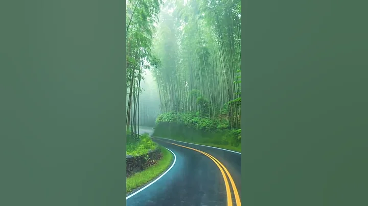 Feel the beauty