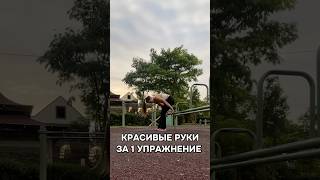 Долой обвисшие руки #красивыеруки #качаемсядома #силаигибкость