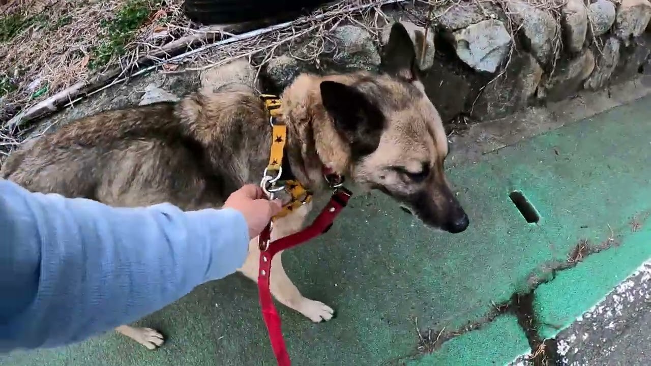 ぶどう畑を回る　②　2,026年3月2日　今日も暖かくなりそう　明日から天気下り坂　冬に逆戻り⁉　今日も元気に畑を回る