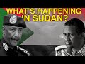 Explained: The War And Crisis In Sudan | TLDR | Dawn News English