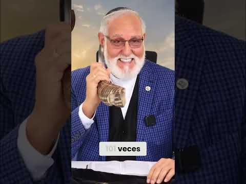 Hayyim TV