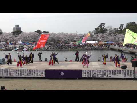 祭りや鯛  2017.04.09どまつり夜桜in岡崎4K動画