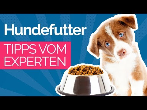 Video: Hundefutter für Kupferspeicherkrankheit