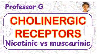 Cholinergic Receptors Nicotinic Versus Muscarinic  Pharmacology Explained