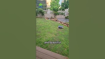 Second Generation Co-extrusion wpc decking hoyeah #compositedecking #outdoordecking #construction