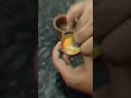 The morning routine -  Day5 #aarti #dailyaarti #dailyaartidarshan #bhakti #hindu #hinduism #sanatan