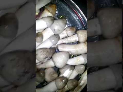 mushroom-curry-recipe