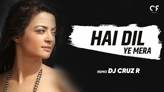 Hai Dil Ye Mera - Remix | FT. DJ Cruz R| Full Audio Song | Arijit Singh | Hate Story 2