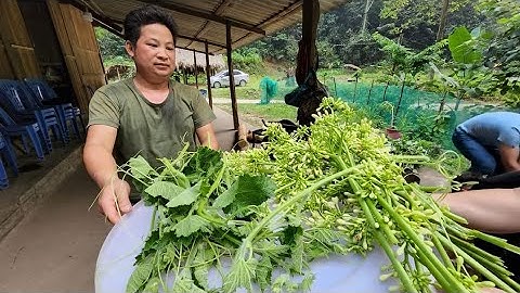 Ông bà 90 Tuổi Sinh tồn Bữa cơm canh đắng Nậm Thuổm. Nguyễn Tất Thắng