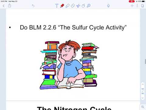 Ch 2.2 video lesson: Biogeochemical Cycles - YouTube