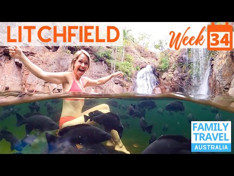 Litchfield National Park & Berry Springs + Pizza on Weber Gas BBQ