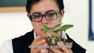Itutorials - Fotosíntesis
