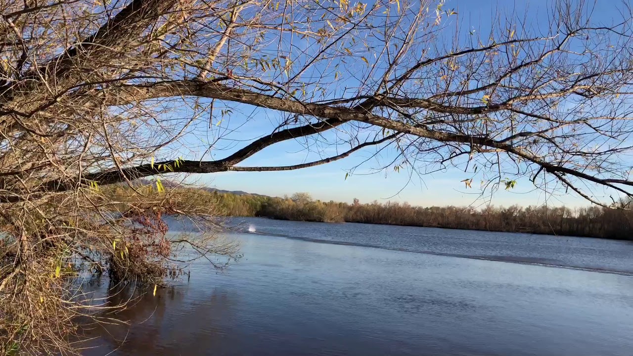 Messing around with my almost stock zelos36