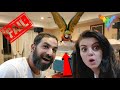 WORLD'S BIGGEST DIY PARROT STAND FAIL 😂 | MARLENE MC'COHEN