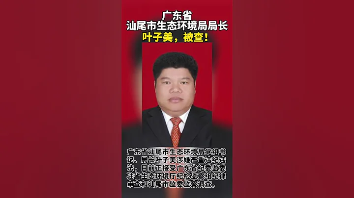 广东省汕尾市生态环境局局长叶子美，被查！ - 天天要闻