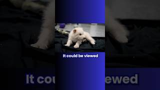 Celebrity 🐾Resurrecting the Dire Wolf🐺 Profile