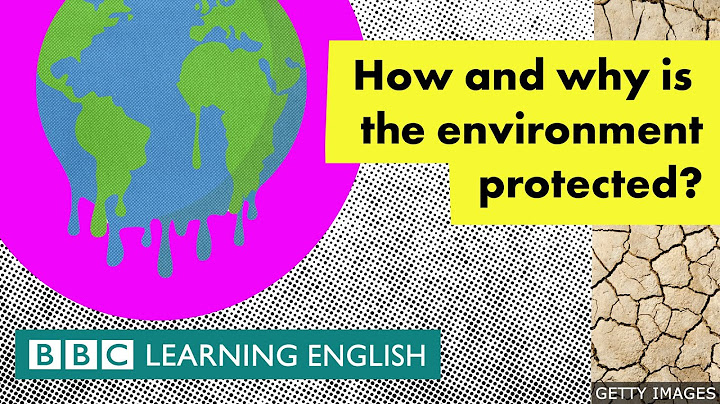 How and why is the environment protected? - BBC Learning English
