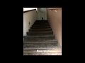 Puppy Epic Falls Down Stairs