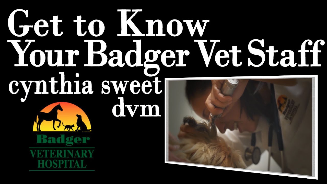 Cynthia Sweet, DVM, Badger Veterinary Hospital in Janesville, WI YouTube