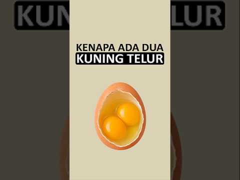 Siapa yang pernah dapet 2 kuning telur di 1 telur? 😬✋