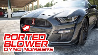 2020 GT500 || We installed a Jokerz Ported blower and more for big gains!