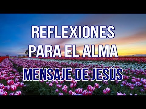 REFLEXIONES PARA EL ALMA - MENSAJE DE JESÚS - albercada