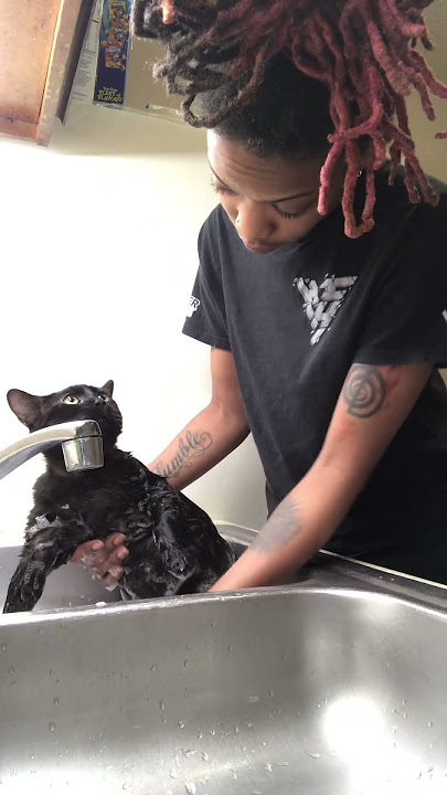 Cat Bath Suddenly Goes Wrong || ViralHog