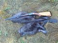 Охота на бобра в Финляндии 2015, точные выстрелы