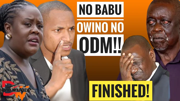 WINNIE ODINGA AND BABU OWINO FORM ALLIANCE TO KICK OUT OBURU!!
