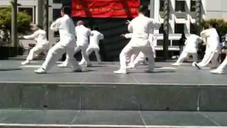 Taichi performance at the World Congress